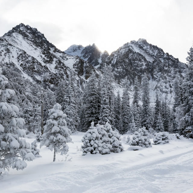 "Ala Archa National Park, Kyrgyzstan" by Philip Mowbray - £10.00 "Ala Archa National Park, Kyrgyzstan" stock image