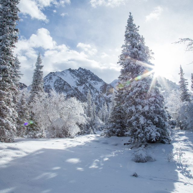 "Ala Archa National Park, Kyrgyzstan" stock image