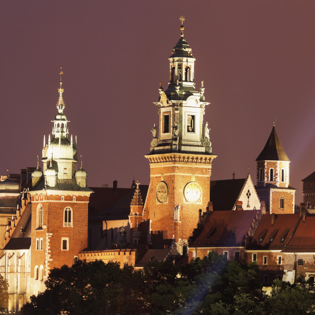 "Wawel Royal Castle and Cathedral" stock image
