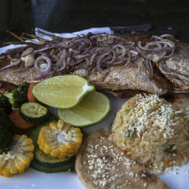 "Fish dinner in Salvador" stock image