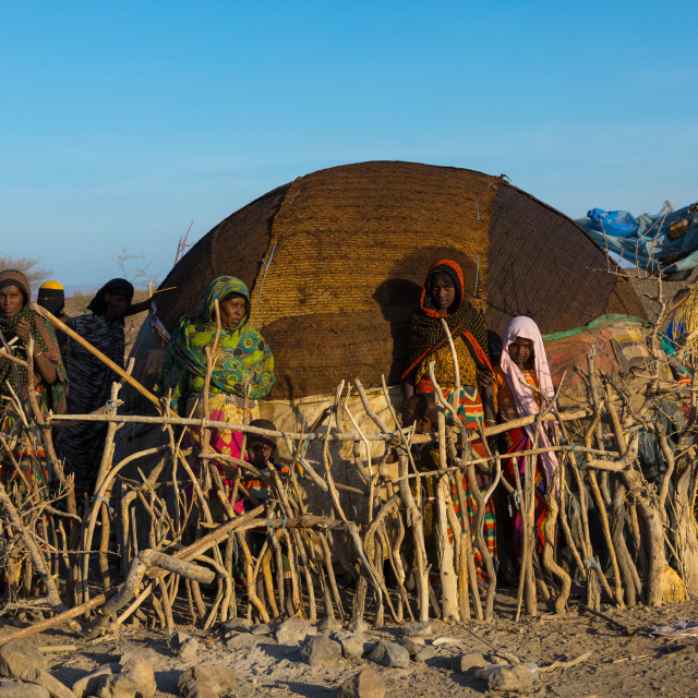 "Afar tribe women behind a wooden fence in front of their hut, Afar region,..." stock image