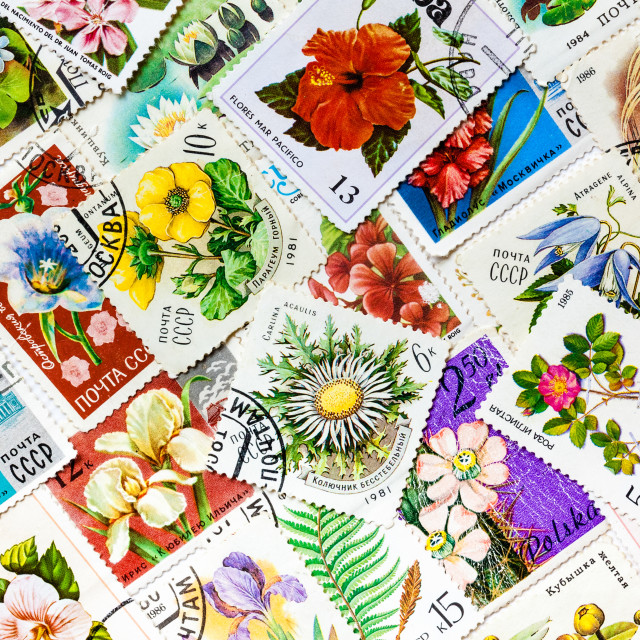 "Stamps printed in USSR shows flowers" stock image