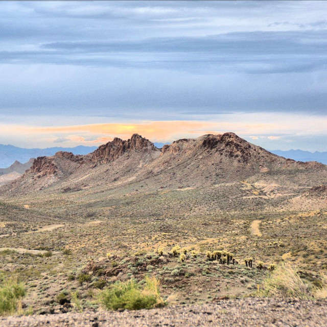 "The Arizona Desert My Home" stock image