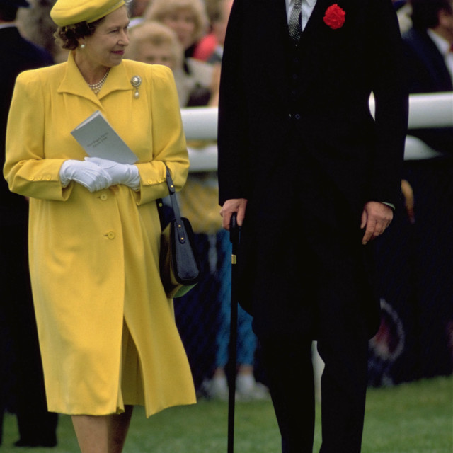 "Queen Elizabeth Inspects The Horses" stock image