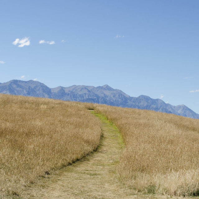 "Kaikoura walk" stock image