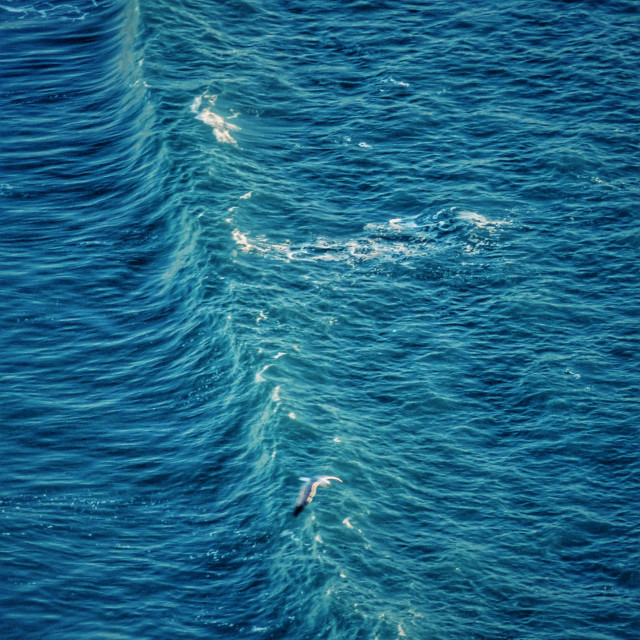 "Wave formation blue water" stock image