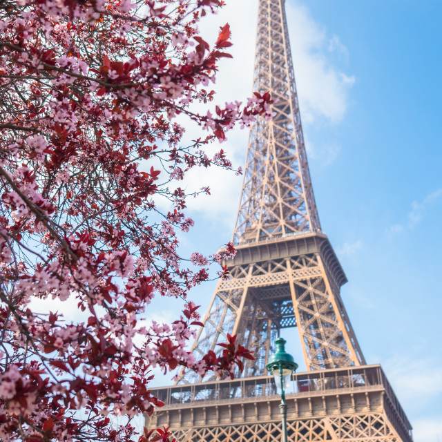 "Spring in Paris" stock image