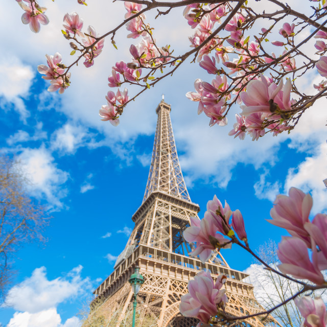 "Eiffel Tower" stock image