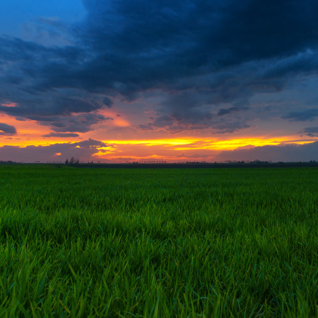 "Sunset panorama" stock image