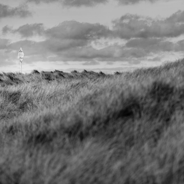 "Dune grass and cloudy skies. Mono" stock image