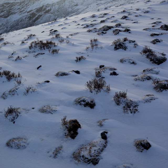 "A Cold Morning" by Keith MacIntosh FRGS - $12.16 "A Cold Morning" stock image