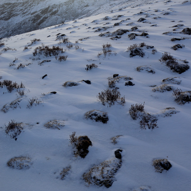 "A Cold Morning" stock image