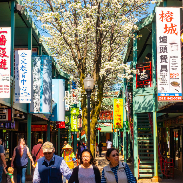 "Chicago Chinatown" stock image