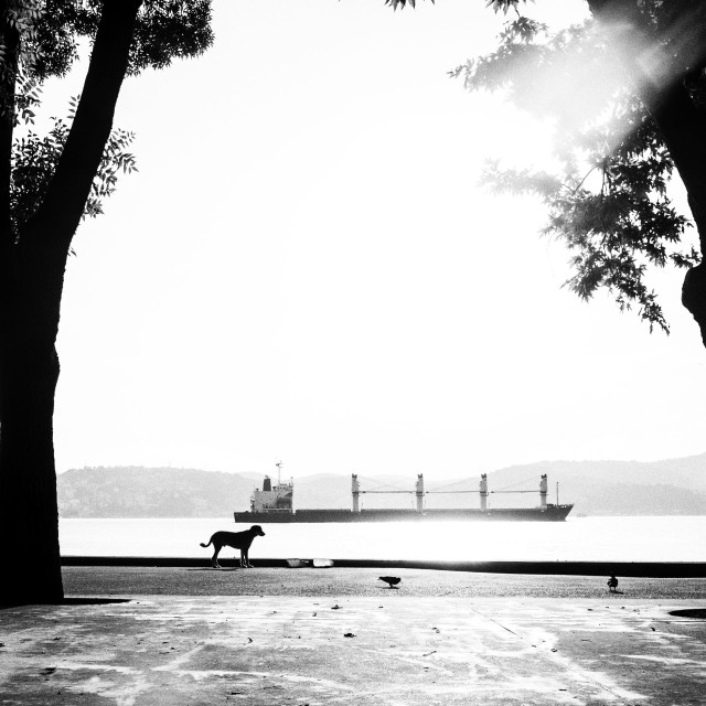 "Life in Istanbul" stock image