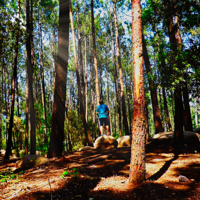 "Alone in the forest enjoying the nature" stock image