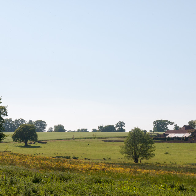 "open farm field green grass lush pasture landscape background" stock image