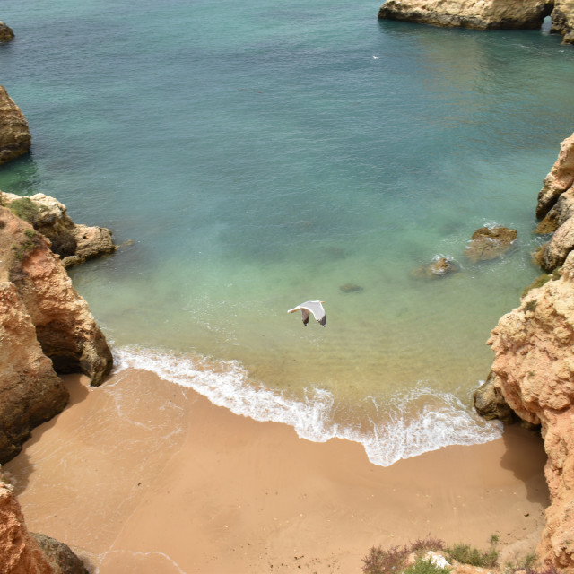 "rocky coast beach and nature" stock image