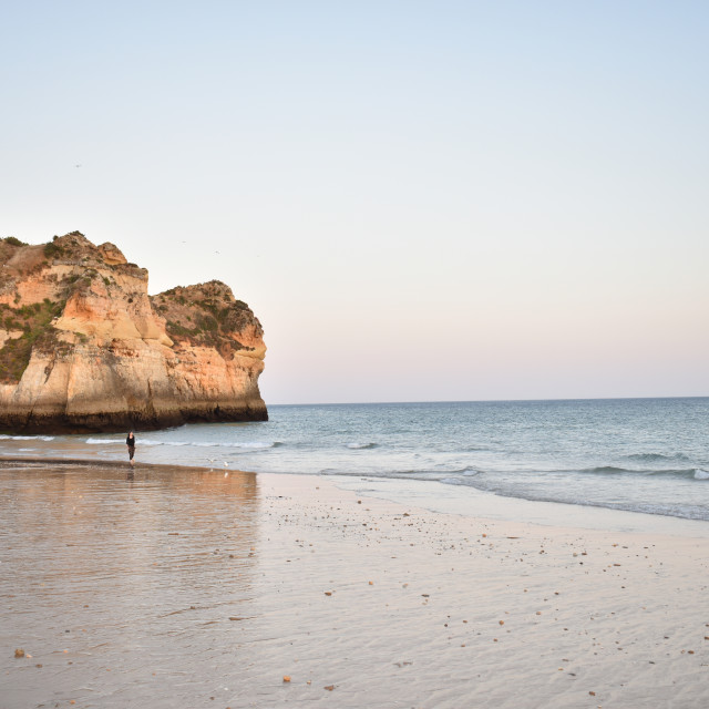 "rocky coast beach and nature" stock image