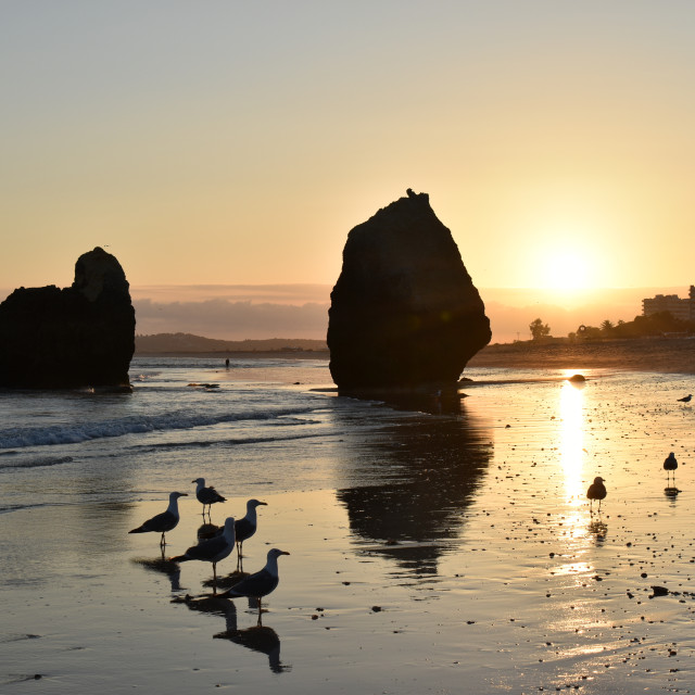 "Beach and Nature, Rocky Coastline, Portugal Algarve Portimão" stock image