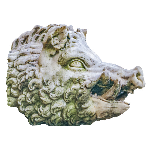Wild Pig Head Sculpture Isolated Photo License, download or print for