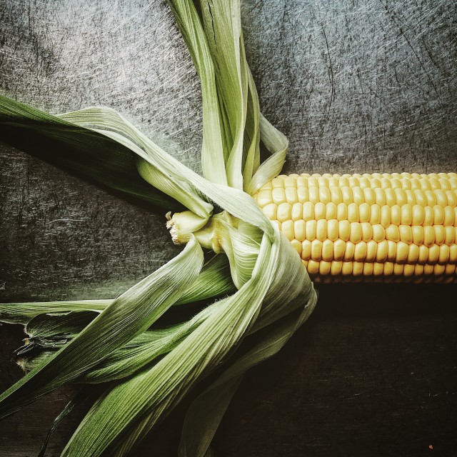 "Corn on the cob" stock image