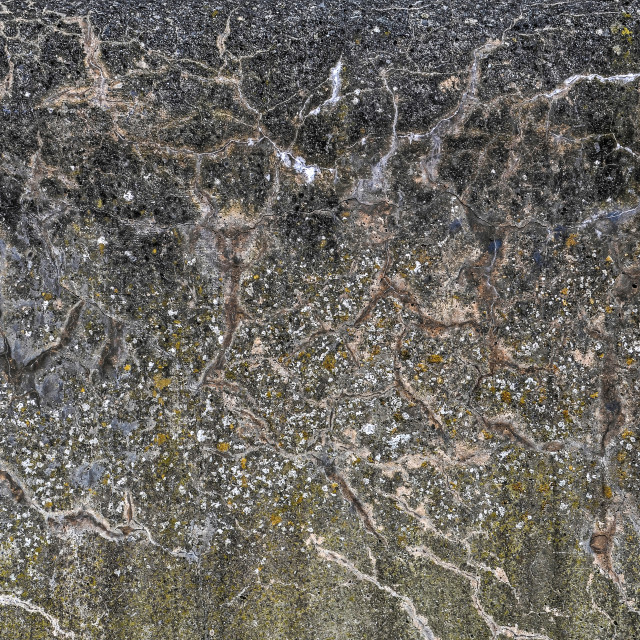 "Weathered concrete seawall" stock image