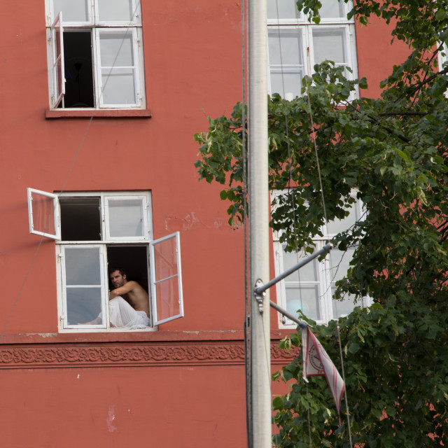 "Resting in a window" stock image