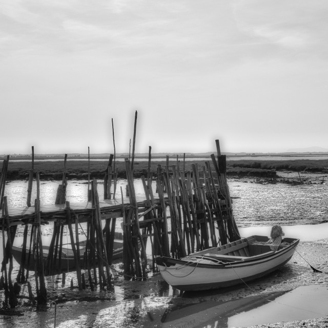 "Boats, fishing boats on land low tide, wooden piers" stock image