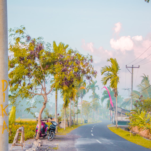 "Early morning on misty Bali roads" stock image