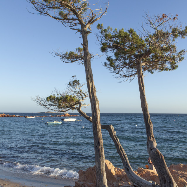 "famous beach in corsica" stock image