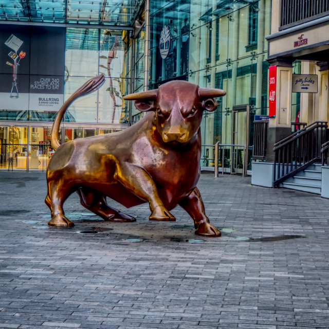 "The Birmingham Bull" by Barry Whyte - £15.00 "The Birmingham Bull" stock image