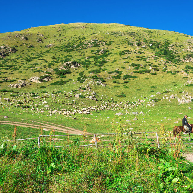 "Beautiful mountain landscape with horseman in the foreground, Ky" stock image
