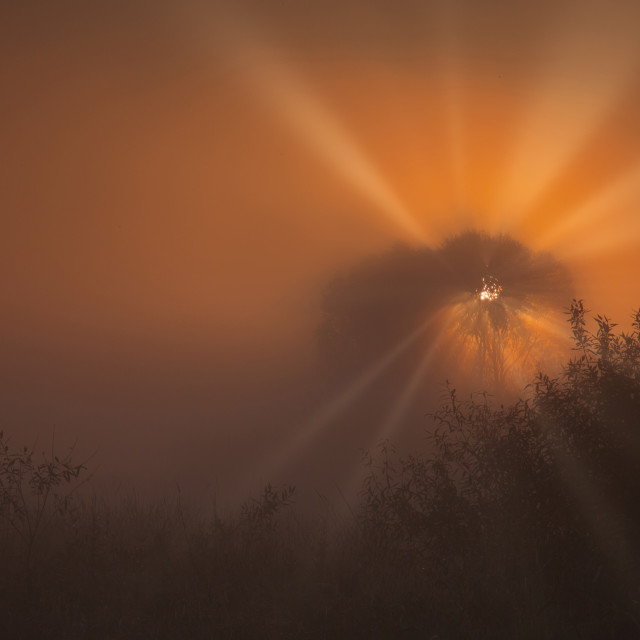 "A beautiful, misty, autumn sunrise" stock image