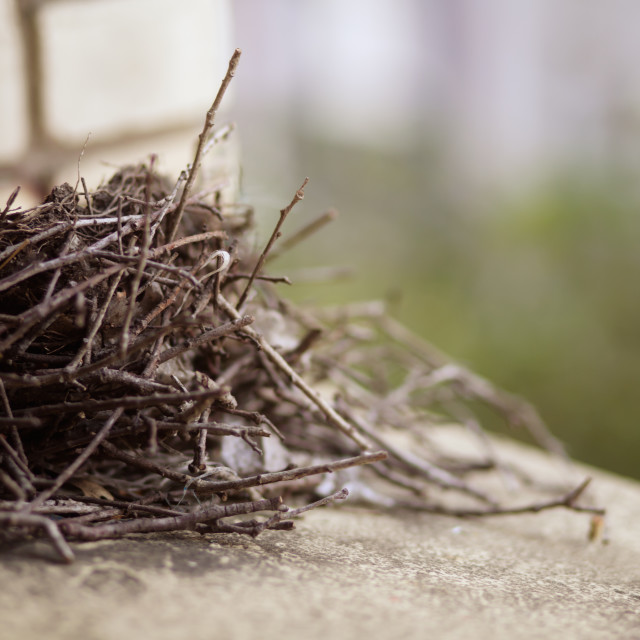 "Abandoned Bird's Nest on Window Sill Ledge" stock image