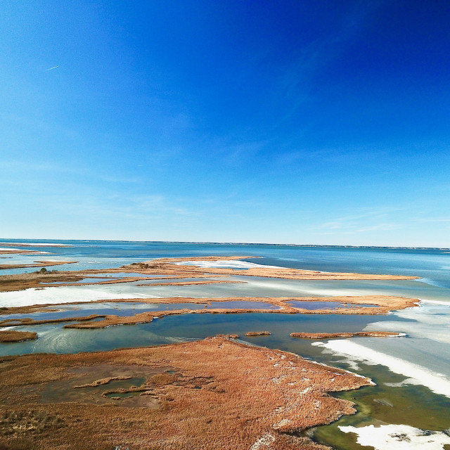 "Assateague Island" stock image