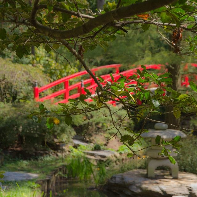 "Red bridge" stock image