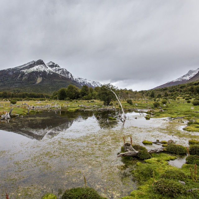 "Patagonia scenery" stock image