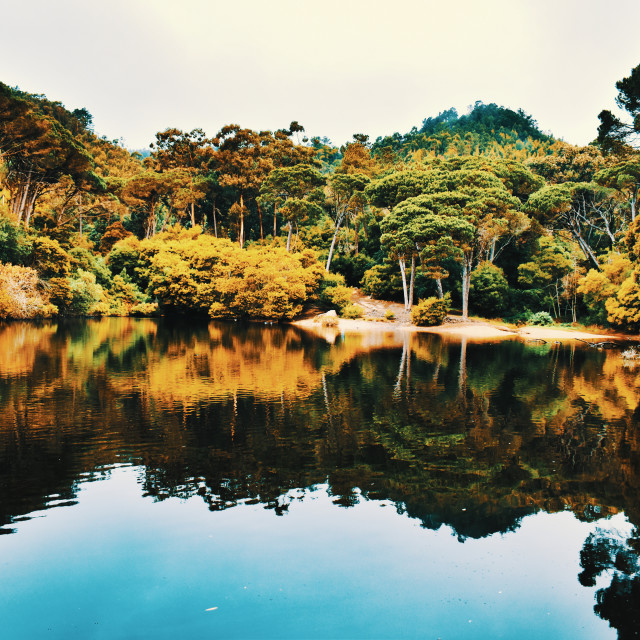 "Water Lake and Trees Nature" stock image