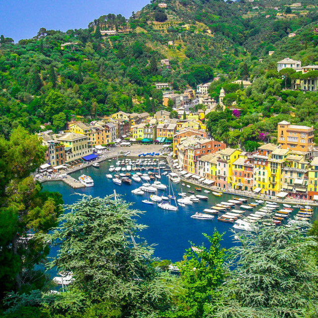 A3 Illustrated Print Italy Portofino