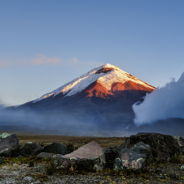 Cotopaxi Volcano at sunset, Cotopaxi National Park, Cotopaxi Province ...