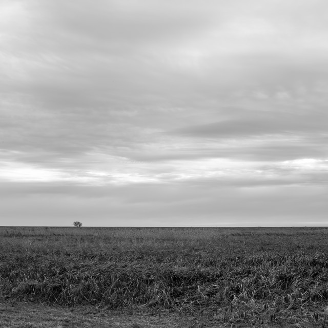 "Marshes" stock image