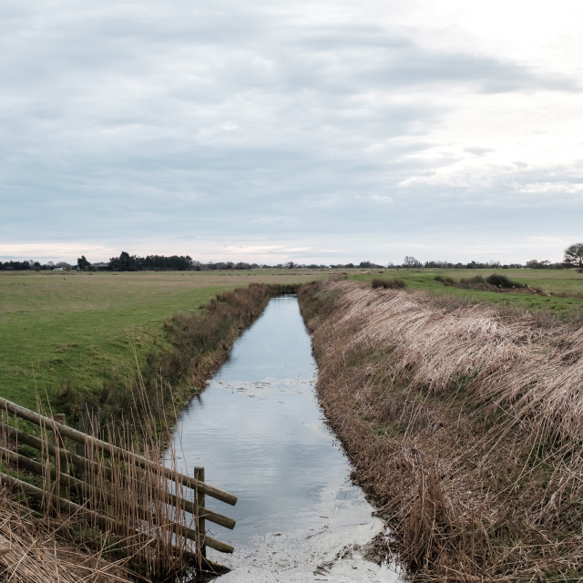 "Ditch" stock image