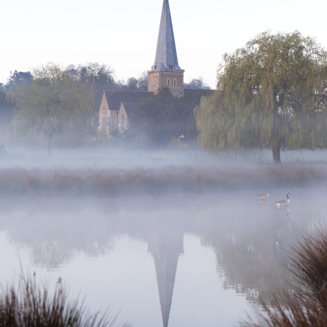 "Misty Morning" stock image