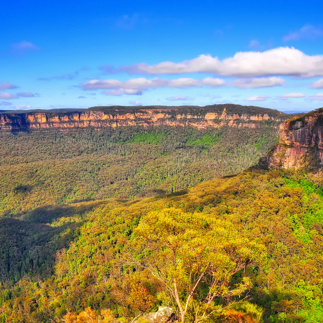 "Blue Mountains" stock image