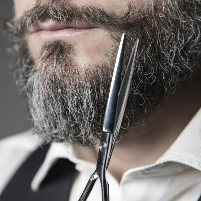 "close up of a barber adjusting his mustache with a pair of sciss" stock image