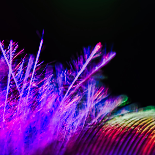 "Colorful macro feather" stock image