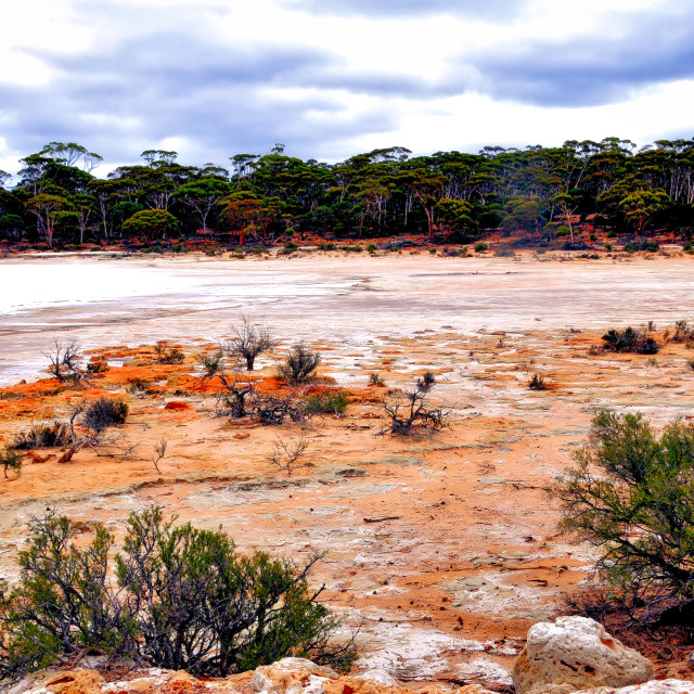 "Salt Lake Bed" stock image