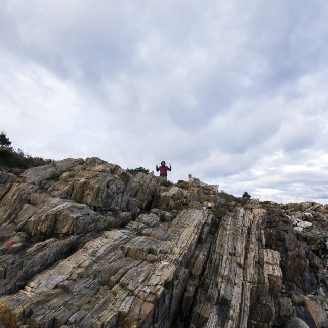 "Bug Creature on the Maine Coast" stock image