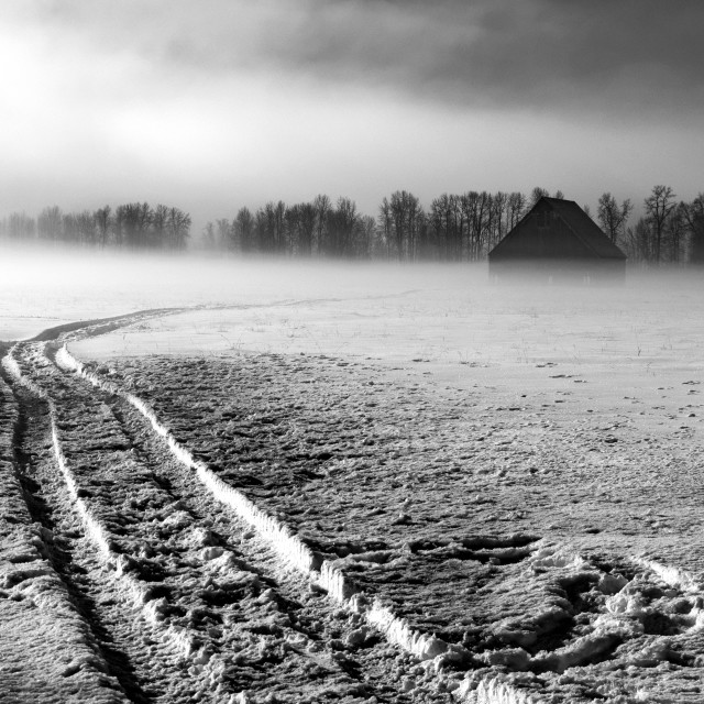 "Olson Barn on a Foggy Winter Morning 2" stock image