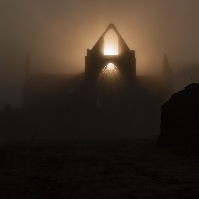 "Tintern Abbey" stock image